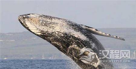 1485943301606471.jpg 3_副本1.jpg