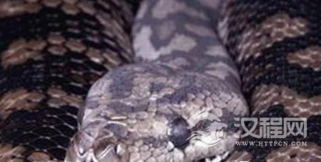 1488942771928639.png 1_副本.png