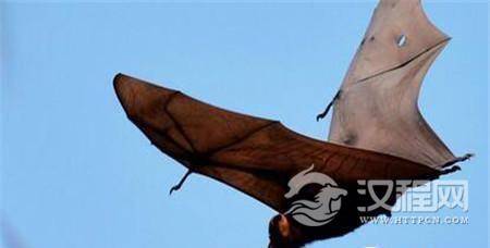 1493698089745400.jpg 3_副本.jpg