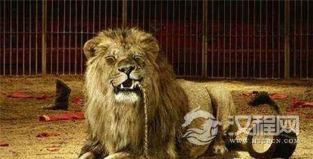 1509954939992420.jpg 3e5a0003801f19f5cb5a.jpg