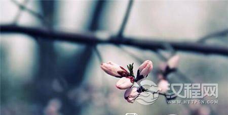 1485161340458483.jpg 1_副本.jpg