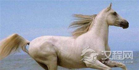 1482895631773058.jpg 1.jpg