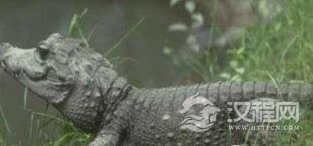 1522743779182133.png blob.png