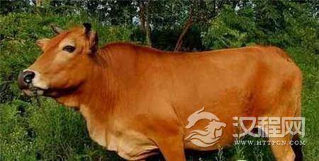 1496975120128968.jpg mp18882648_1434351600767_2.jpg