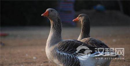 1504578183715980.jpg 31e70002b5f48c875f3b.jpg