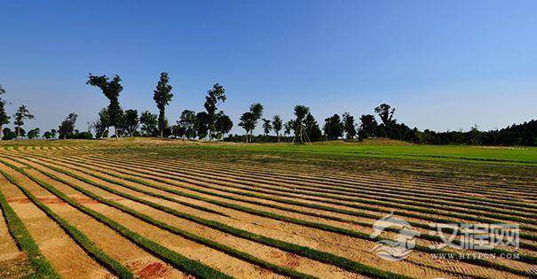 耕地“一亩三分地”
