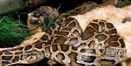 1488942805247746.png 3_副本.png