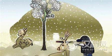 1486606035426811.jpg 6619338175654065373.jpg