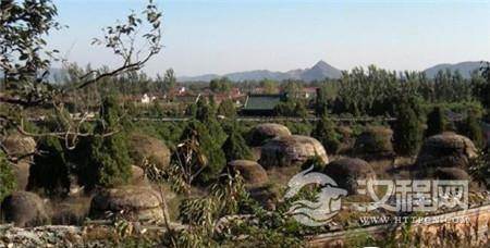 1486535950155462.jpg 6e2db1452e2d9207cefca3eb.jpg