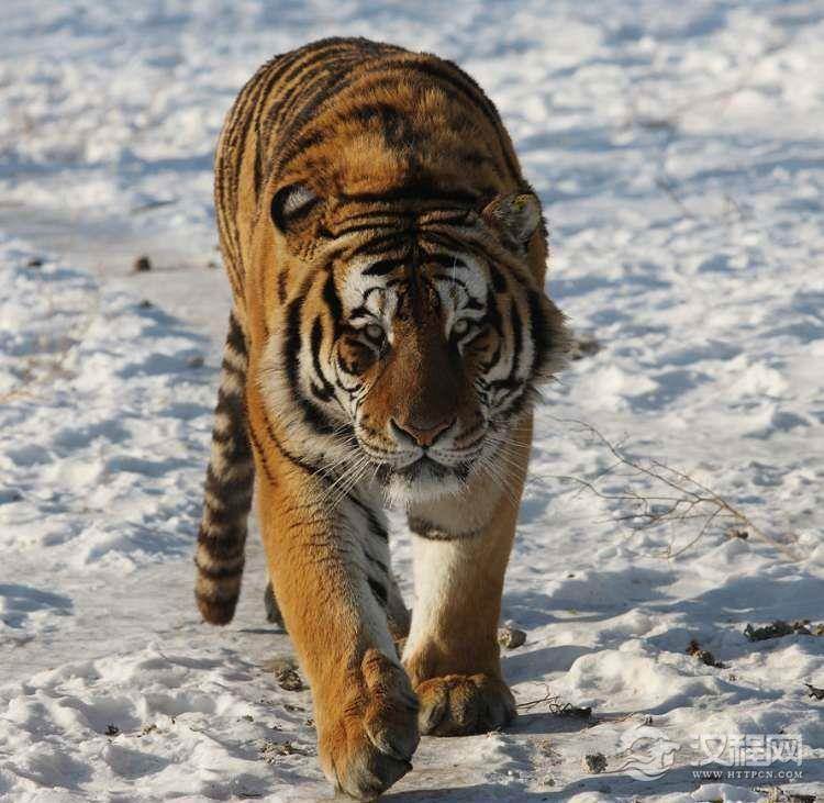 1523169655730146.png blob.png