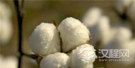 1512280267722408.jpg 3b080003155033922668.jpg