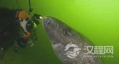 1522743977564929.png blob.png