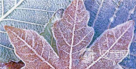 1485166820194976.jpg 2_副本.jpg