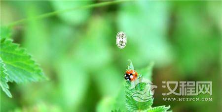 1484987630638746.jpg 2_副本.jpg