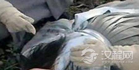 1499066864900363.jpg 4.jpg