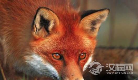 1561605690308514.png image.png