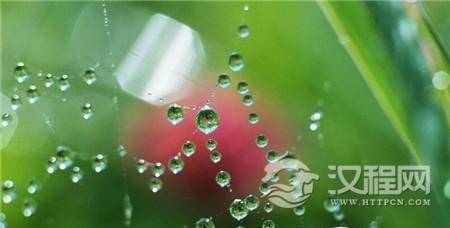 1489734573720431.jpg 2_副本3.jpg