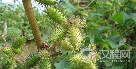 1506320937597373.jpg 3a0700049fced615e7e3.jpg