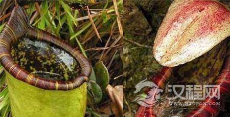 1485162826678569.jpg 1_副本.jpg