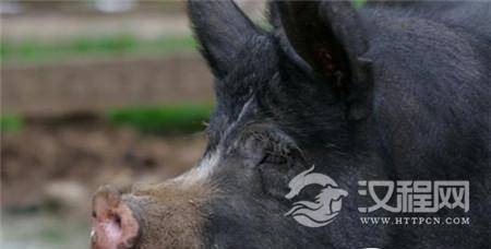 1504578176281197.jpg 1.jpg