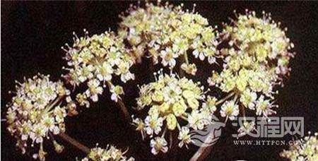 1485162840957311.jpg 4_副本.jpg