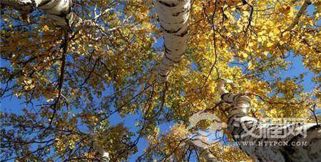 1484990292917841.jpg 1_副本1.jpg