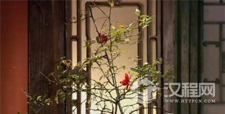 1512455750500347.jpg bb3705e6de6153cc35207841114c158d_wmk.jpg