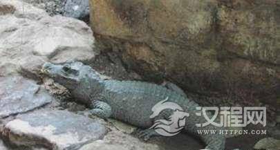 1522743763782065.png blob.png