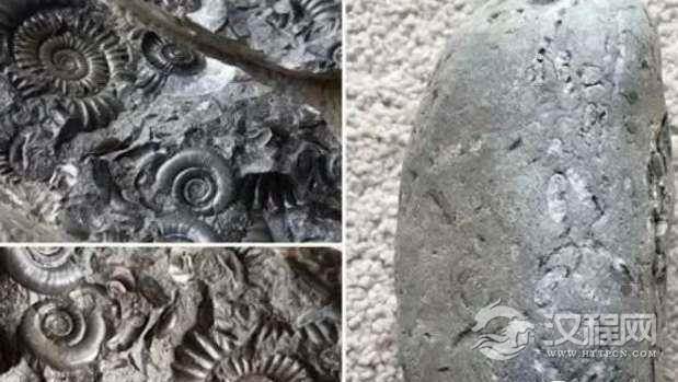 1520586364818434.png blob.png