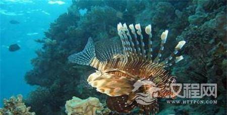 1493279561739517.jpg 2_副本5.jpg