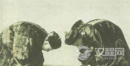 1510886442882914.png ue_51948_9548.png