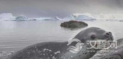 1522744295722895.png blob.png