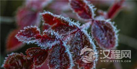 1484989388414627.jpg 2_副本.jpg