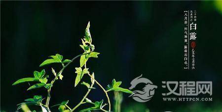 1484990800558218.jpg 3_副本.jpg