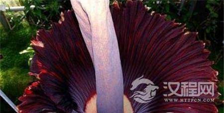 1500604331916363.jpg 5-1F302144R3K2.jpg