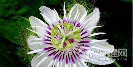 1486953852107654.jpg 2_副本.jpg