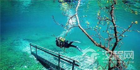 1490597344711688.jpg 2_副本1.jpg