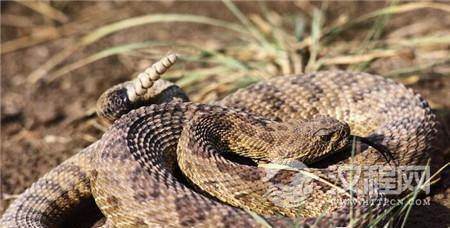 1494291667303077.jpg 2_副本2.jpg