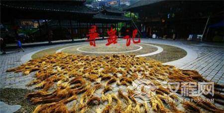 1485592892607529.jpg 2_副本.jpg