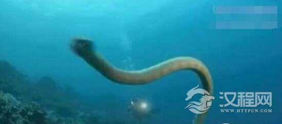 1523339496433685.png blob.png