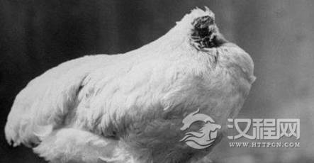 1566196738615387.png image.png