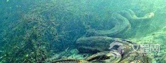 1523339473479580.png blob.png