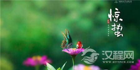 1484987635547512.jpg 3_副本.jpg