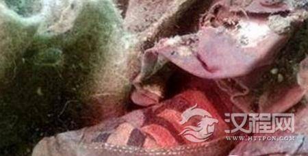 1499066850794066.jpg 2.jpg