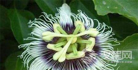 1486953847295167.jpg 1_副本.jpg