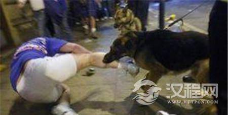 1496541542163967.jpg 1592866893206927943_副本.jpg