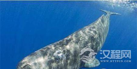 1485943292449201.jpg 1_副本1.jpg