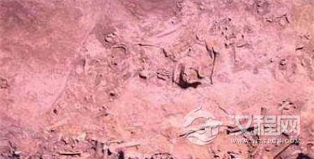 1489733916147095.jpg u=843753379,759132383&fm=23&gp=0.jpg