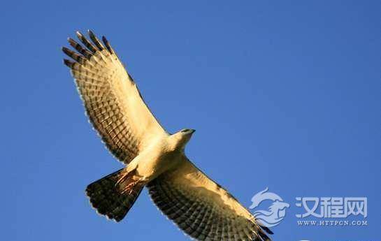 1522748569606438.png blob.png