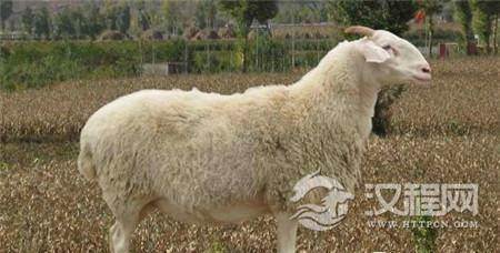 1504074700802616.jpg 1.jpg